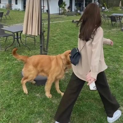 人间一天